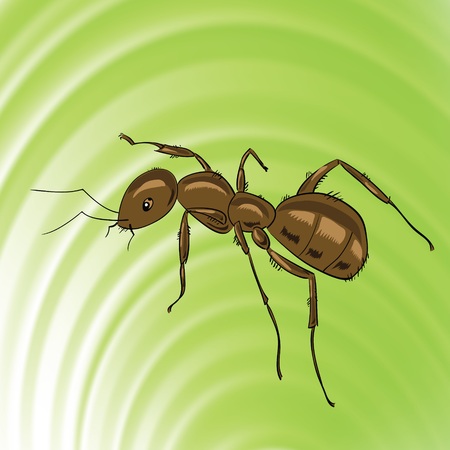 colorful illustration with brown ant for your designのイラスト素材