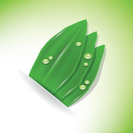 colorful illustration with green plant and drops for your designのイラスト素材