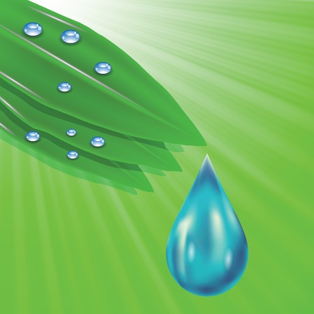 colorful illustration with green leaves and water drops on a green wave background for designのイラスト素材