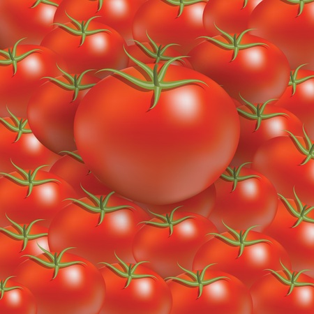 colorful illustration with red tomato background for your designのイラスト素材