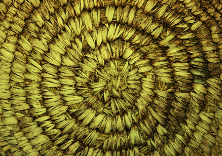 decorative wooden textured basket weaving 