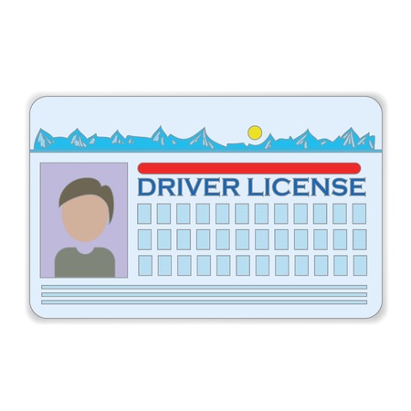 colorful illustration with driver license  on a white backgroundのイラスト素材