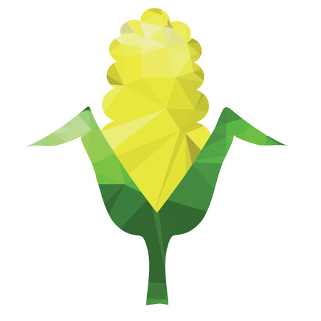 illustration  with corn cobs on white  backgroundのイラスト素材