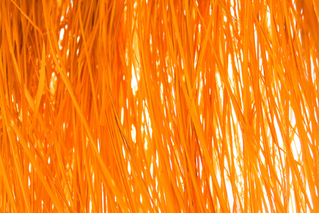 Yellow dry grass background. Dry grass texture.の写真素材