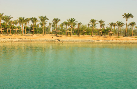 Beach at sun light. Tropical beach for vacation.の写真素材