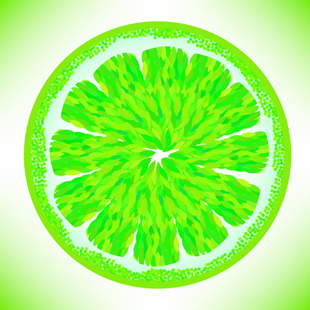 Slased Green Lime Isolated on White Background.のイラスト素材