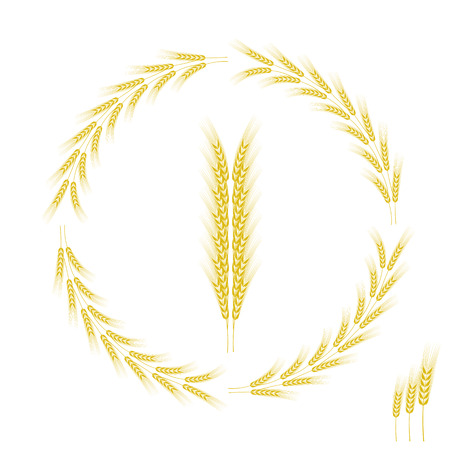 Wheat Icon Isolated on White Background. Wheat Frame.のイラスト素材