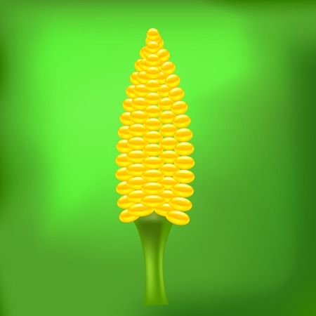 Yellow Cob Corn on Abstract Green Light Backgroundのイラスト素材