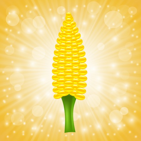Fresh Cob Corn on Sun Rays Background.のイラスト素材