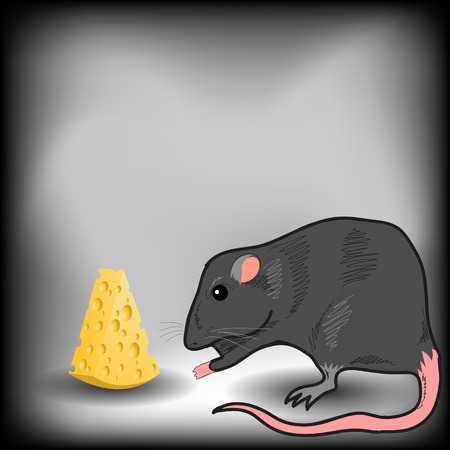 Rat and Piece of Cheese on Grey Backgroundのイラスト素材