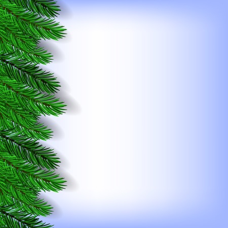 Fir Green Branches Isolated on Blue Backgroundのイラスト素材