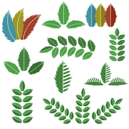 Vector Set of Green Leaves Isolated on White Backgroundのイラスト素材