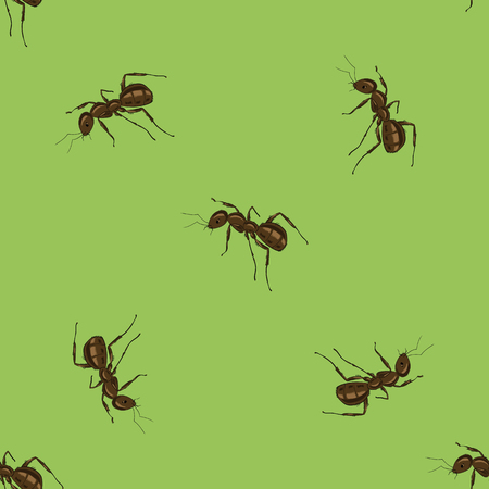 Seamless Animal Pattern. Ant Isolated on Green Background.のイラスト素材