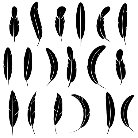 Feather Silhouette Collection Isolated on White Backgroundのイラスト素材