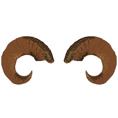 Animal Ram of Goat Horns Isolated on White Backgroundのイラスト素材