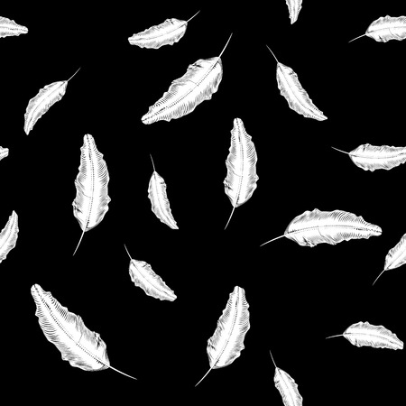 White Feather Seamless Pattern on Black Backgroundのイラスト素材
