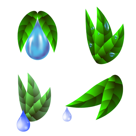 Green Sticker with Leaves Isolated on White Backgroundのイラスト素材