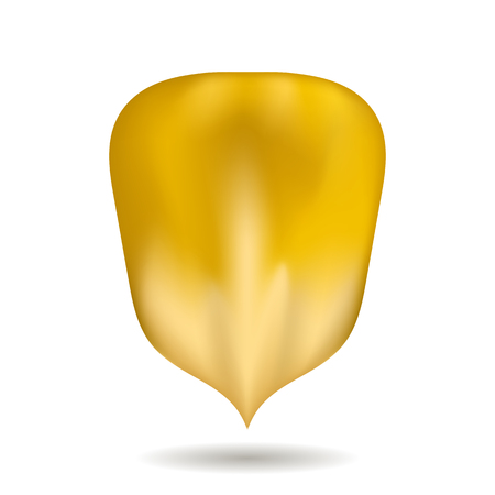 Ripe Yellow Corn Seed Isolated on White Backgroundのイラスト素材