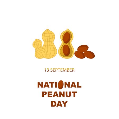 Tasty Peanut Set Isolated on White Background. Nut Seeds.のイラスト素材