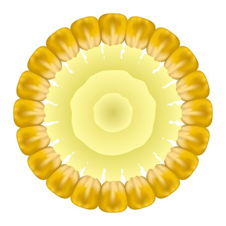 Organic Yellow Fresh Corn Pattern. Natural Gold Sweet Food Background. Summer Golden Vegetarian Sweetcorn Texture. Seed Ornament.のイラスト素材
