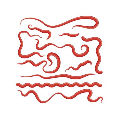 Set of Different Red Ketchup Splashes. Tomato Sauce for Barbecue. Food Condiment and Spice for Cooking. 3d Realistic Illustration. Fresh Blobs and Drops.のイラスト素材