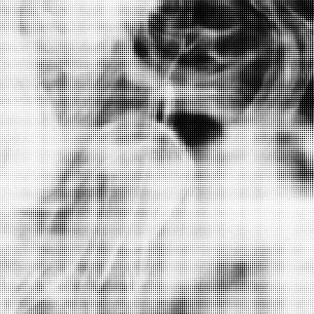 Halftone Pattern. Set of Dots. Dotted Texture on White Background. Overlay Grunge Template. Distress Linear Design. Fade Monochrome Points. Pop Art Backdrop.のイラスト素材
