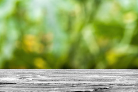 wooden countertop on a green blurred background, a place to place productsの写真素材