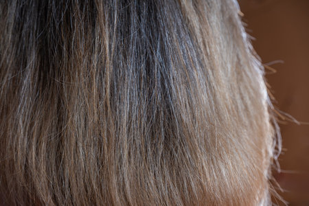 close up of woman's hair on brown background, hair care conceptの写真素材