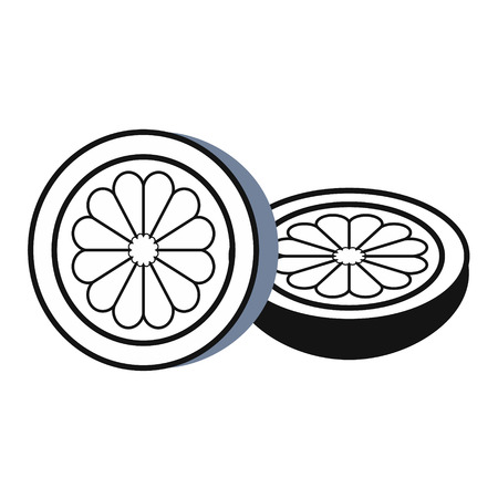 lemon simple art geometric illustrationのイラスト素材