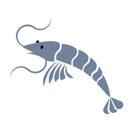 shrimp simple art geometric illustrationのイラスト素材