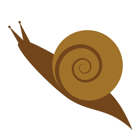 snail flat illustrationのイラスト素材