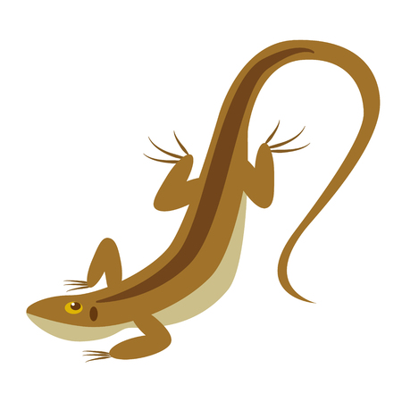 lizard flat illustrationのイラスト素材