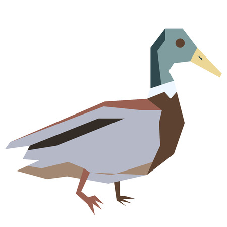 duck flat illustration isolated on white. Forest animals seriesのイラスト素材