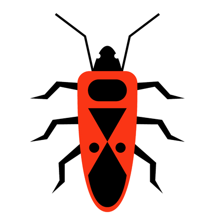 red bug flat illustrationのイラスト素材