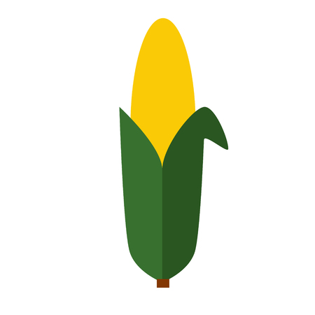 corn flat simple illustration. Home and kitchen series. Tableware food and dishes.のイラスト素材