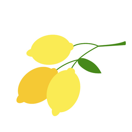 lemons branch flat simple illustration. Kitchen cooking - vegetables and fruits series.のイラスト素材