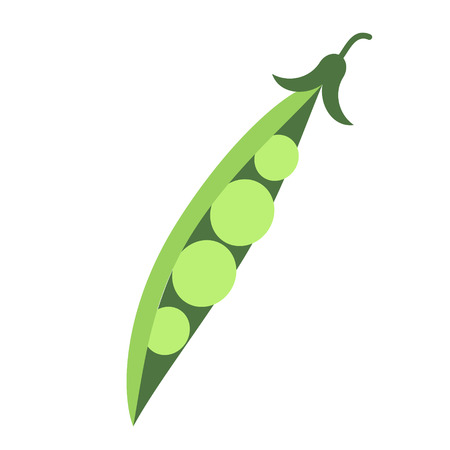 green peas branch flat simple illustration. Kitchen cooking - vegetables and fruits series.のイラスト素材