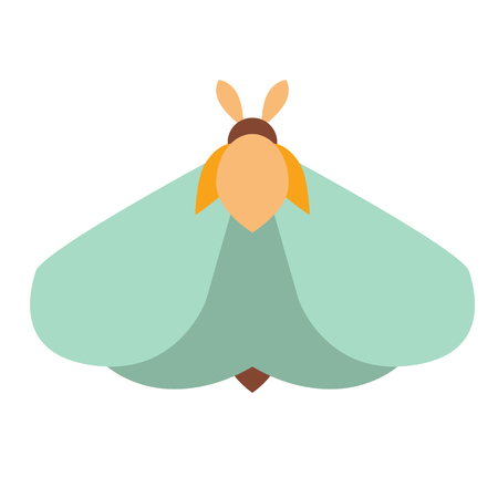 moth flat illustrationのイラスト素材