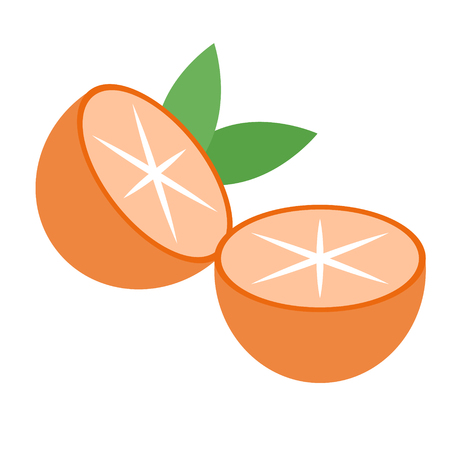 Oranges flat illustration. Home, travel and lifestyle seriesのイラスト素材