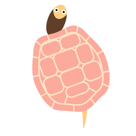 turtle flat illustrationのイラスト素材