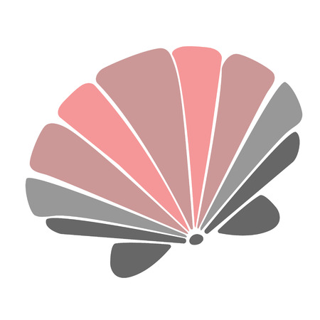 seashell flat illustrationのイラスト素材