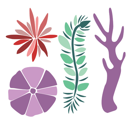 sea plant flat illustrationのイラスト素材