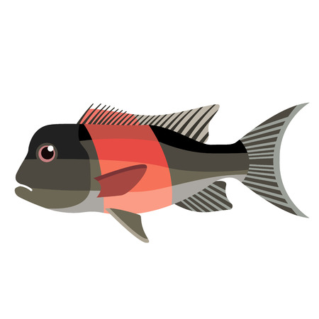 ocean fish flat illustration Marine creatures and underwater world seriesのイラスト素材