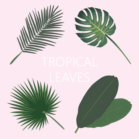 Tropical leaves setのイラスト素材