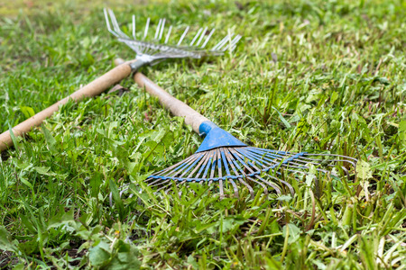 rakesの写真素材