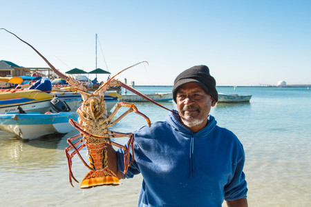 January 21, 2017. The Dominican Republic. A man, an African American, caught a lobsterのeditorial素材