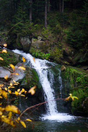 Beautiful mountain waterfall among the rocks and coniferous forest. Ukraine, the Carpathian Mountains. Mountain landscape.の写真素材