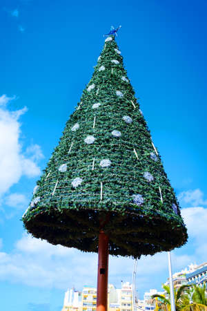 Beautiful Christmas tree against the blue sky. Spain. Caribbean islands. New Year, Christmas. Holidaysの写真素材