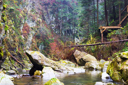 Mountain river among the beautiful rocks of the coniferous forest. Mountain landscape. Nature background.の写真素材