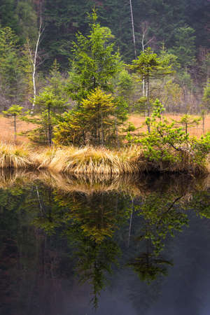 Beautiful reflection of coniferous trees in a mountain lake. Natural background. Mountain landscape.の写真素材